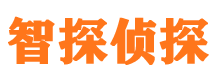 东莞侦探公司